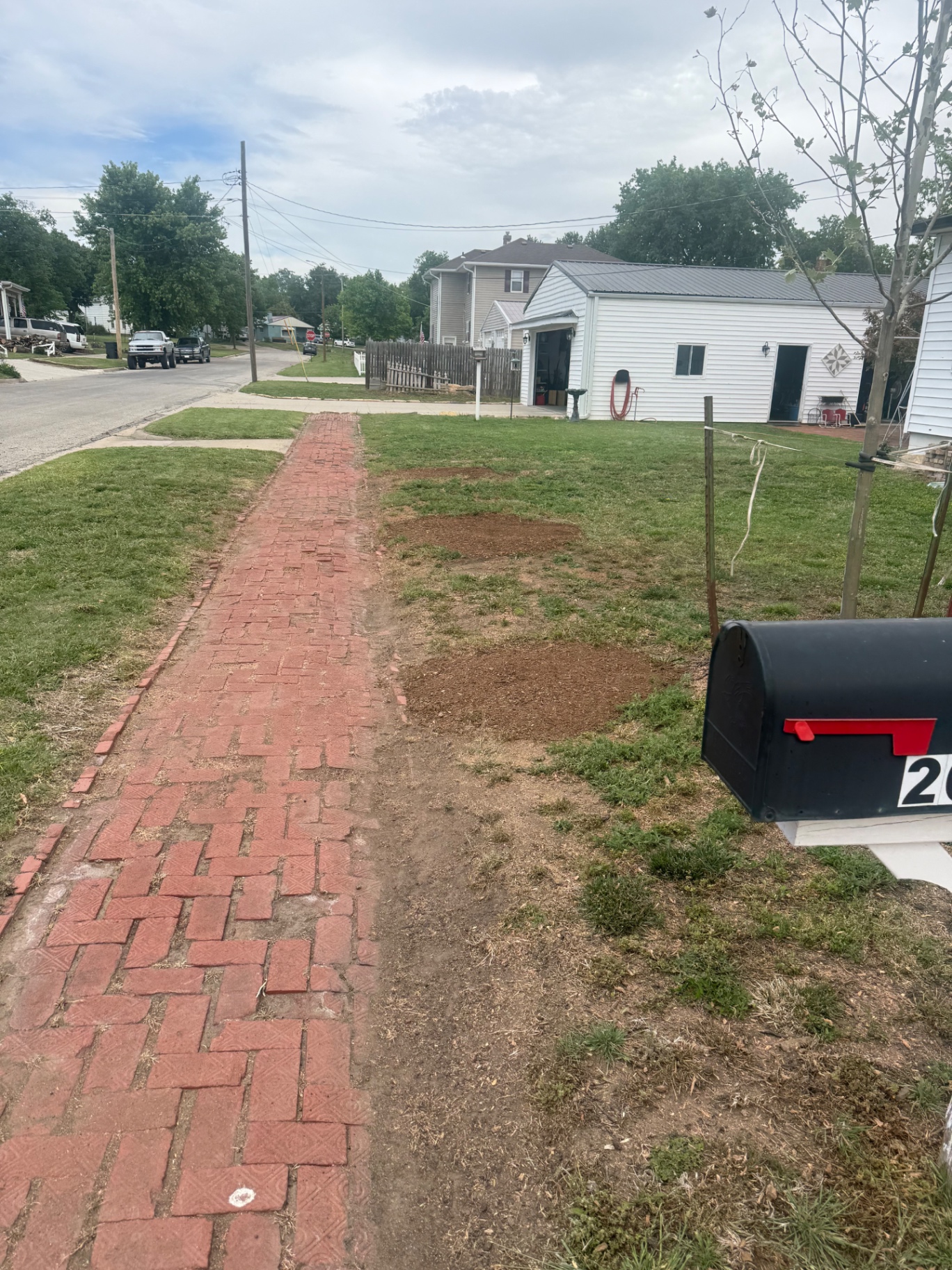 Cleaned lawn after stump removal