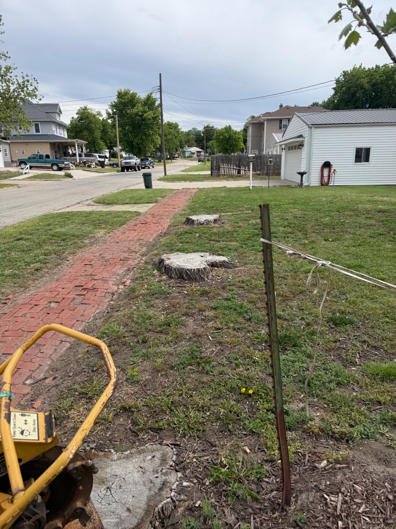 Stump grinding job site before work